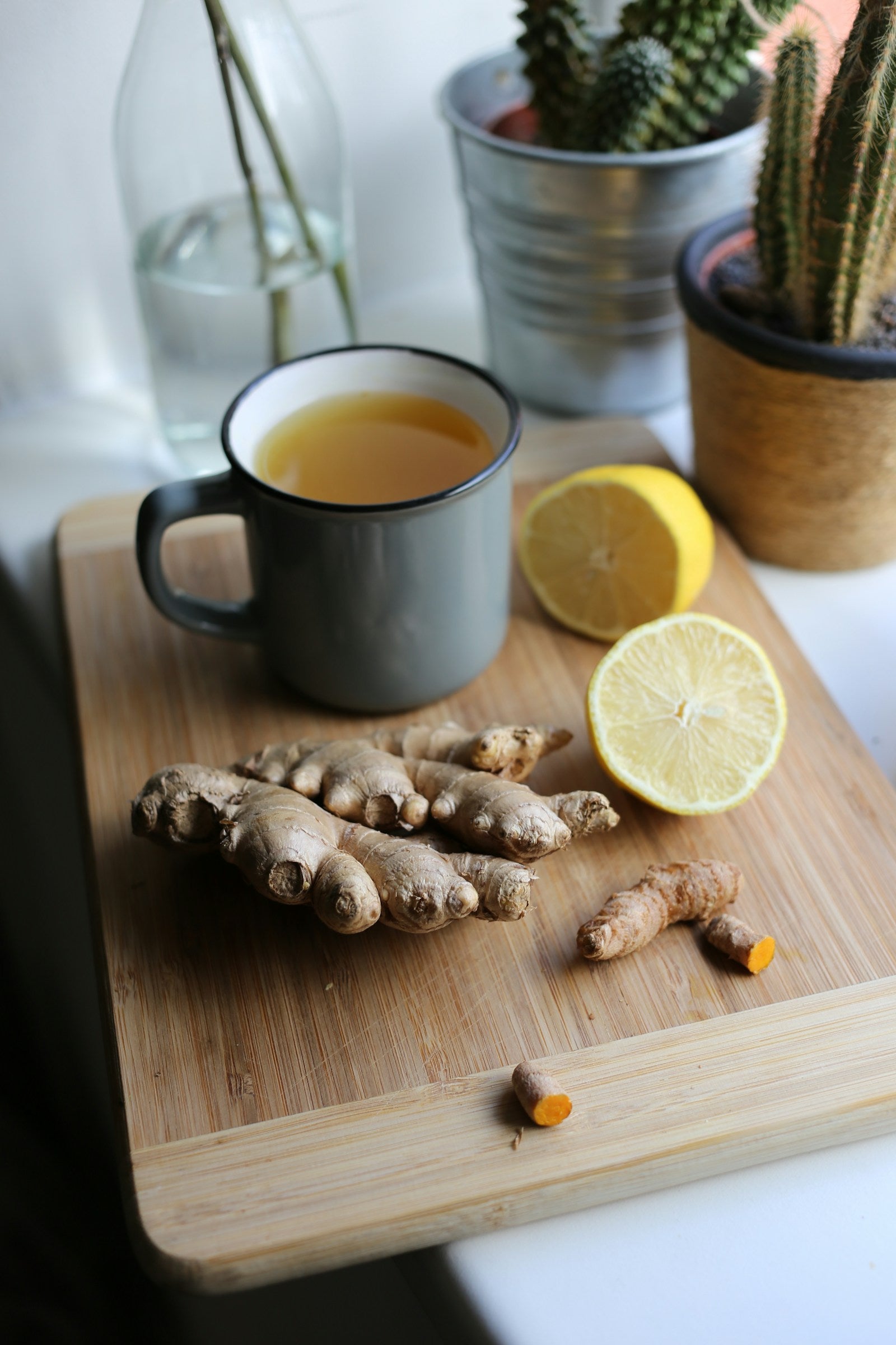 Fresh turmeric and ginger root with herbal tea — natural wellness