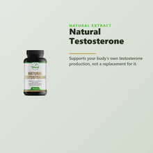 Natural Extract Natural Testosterone 90ct product video - daily testosterone support formula, 90 capsules, for energy, strength and endurance