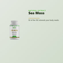 Natural Extract Sea Moss capsules product video - 92 essential minerals